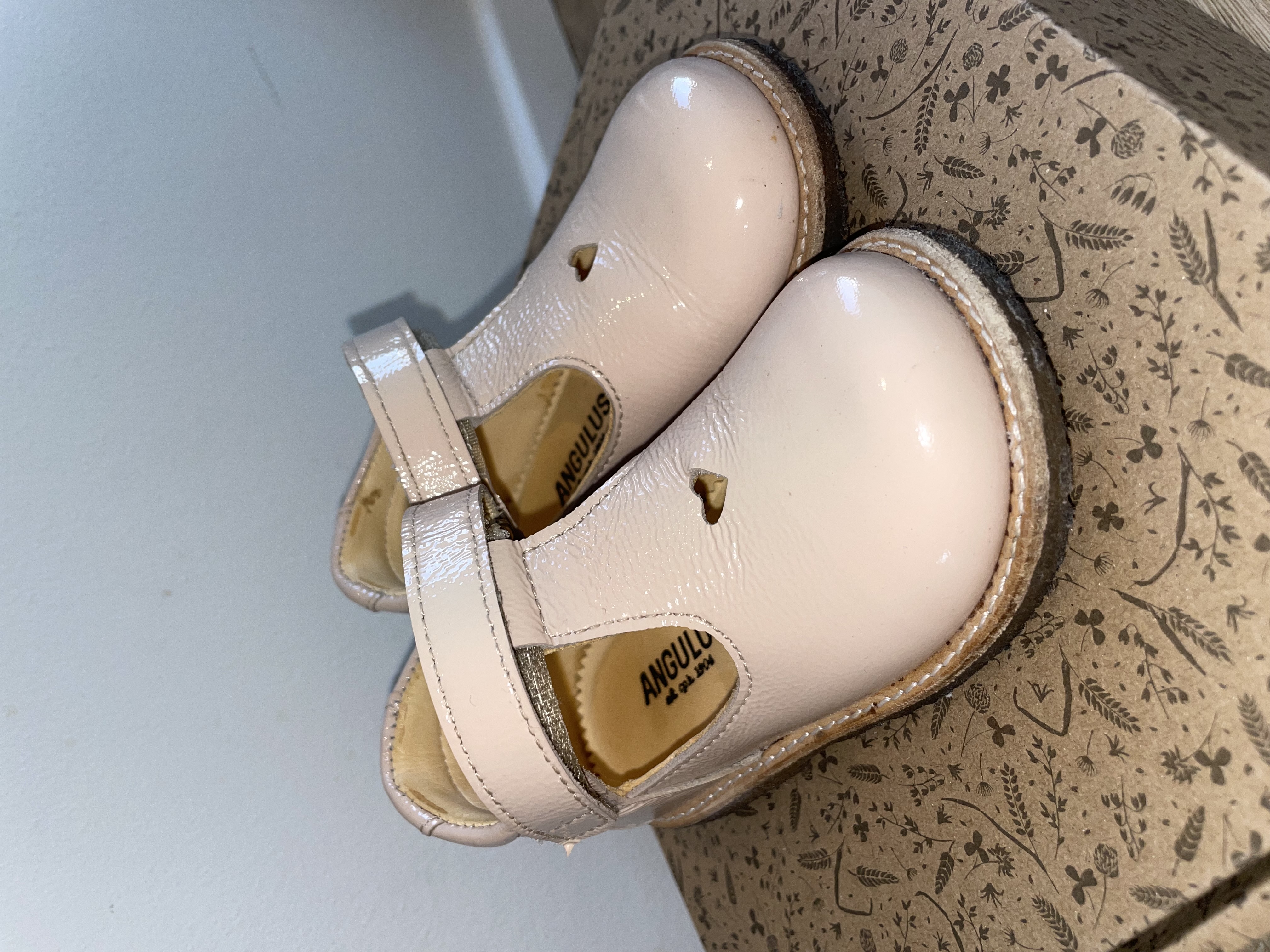 Angulus spariskór (22)