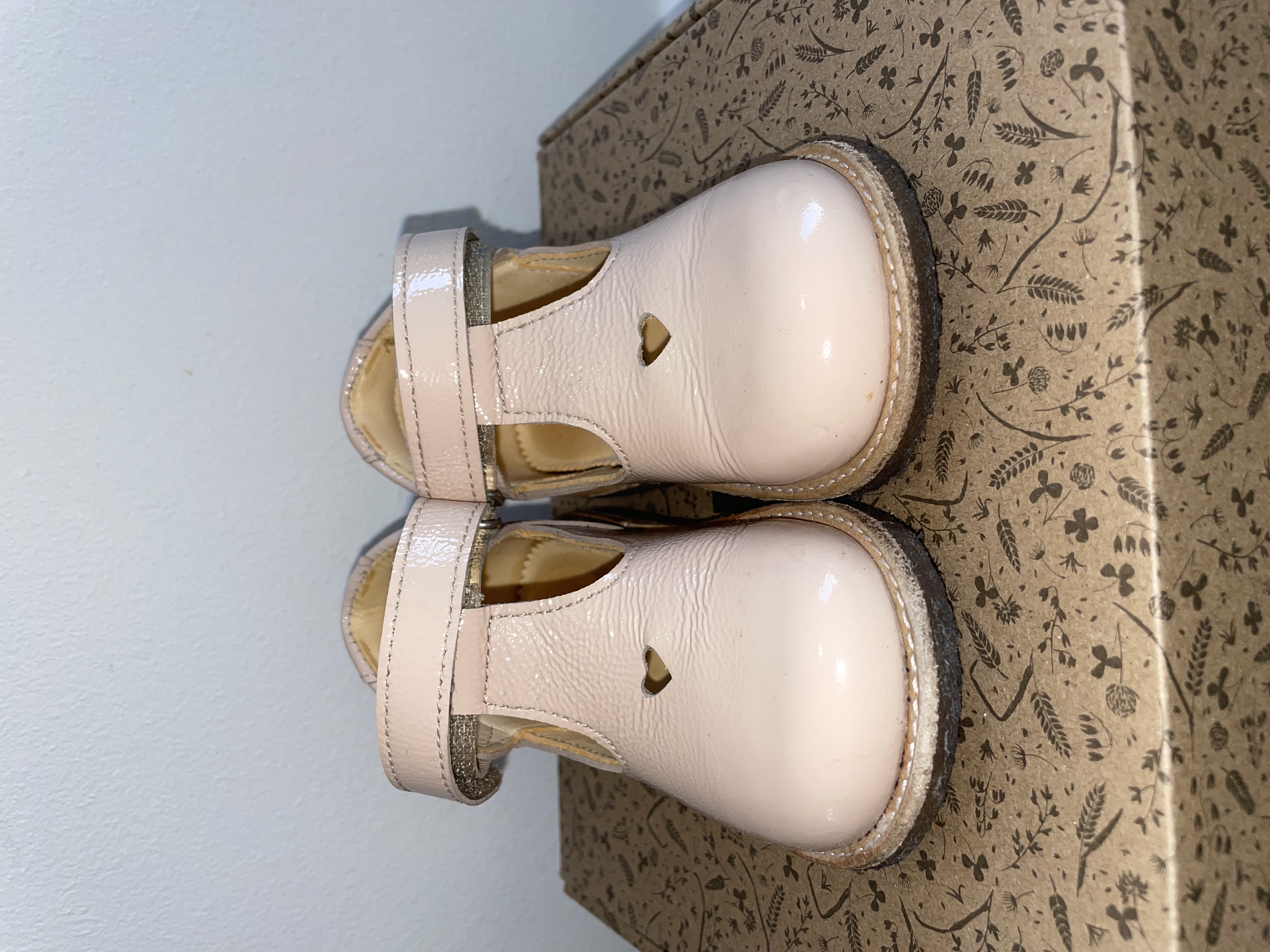 Angulus spariskór (22)