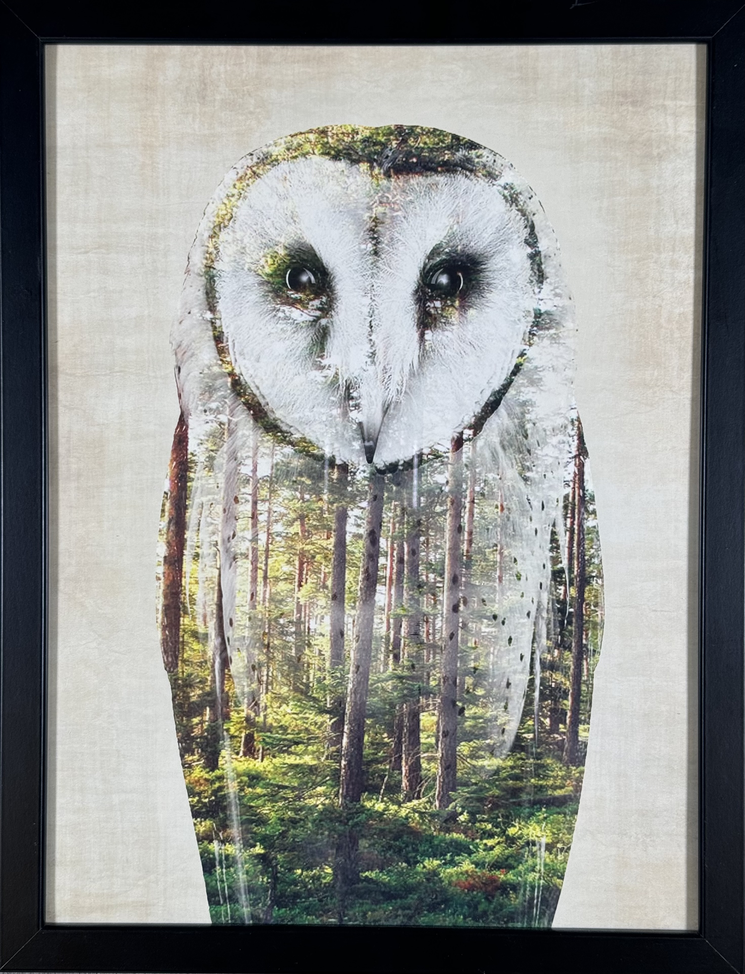 Ókunnur Höfundur - Án titils