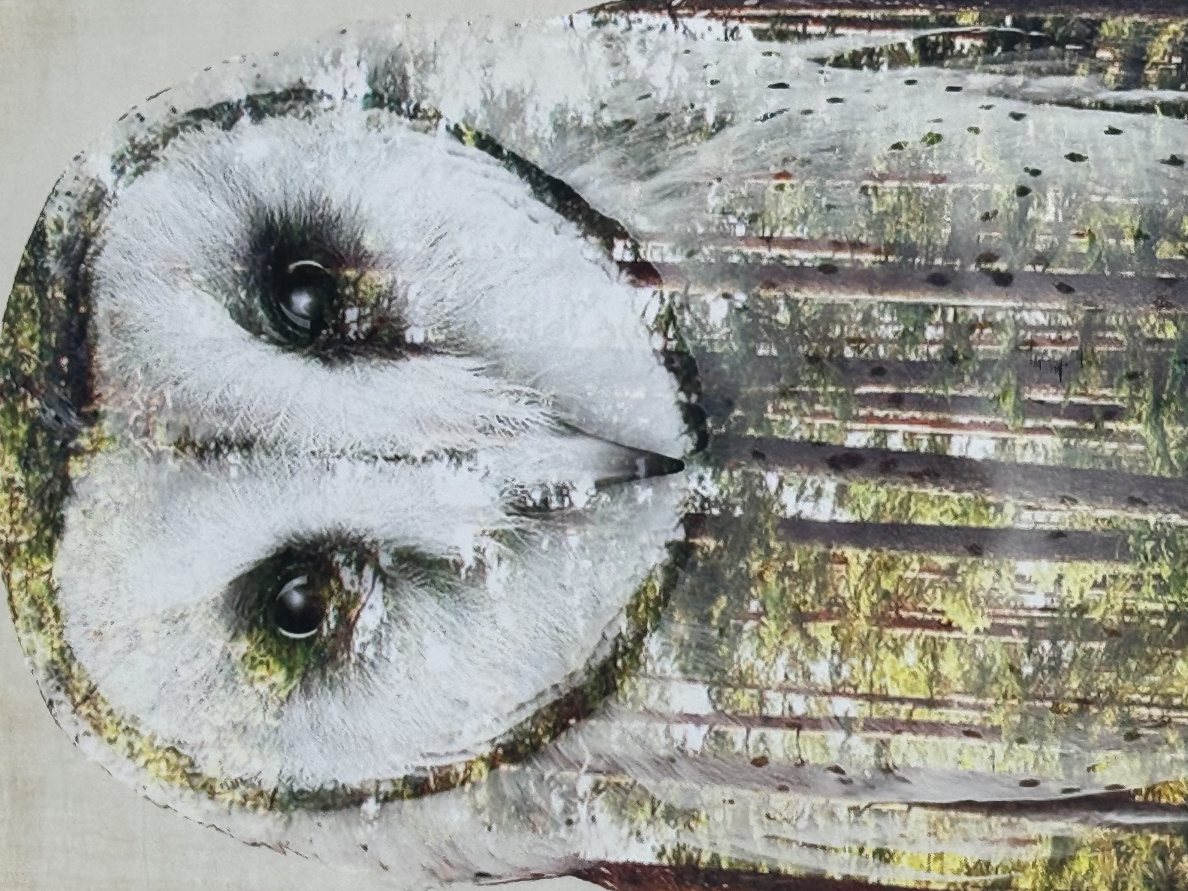 Ókunnur Höfundur - Án titils