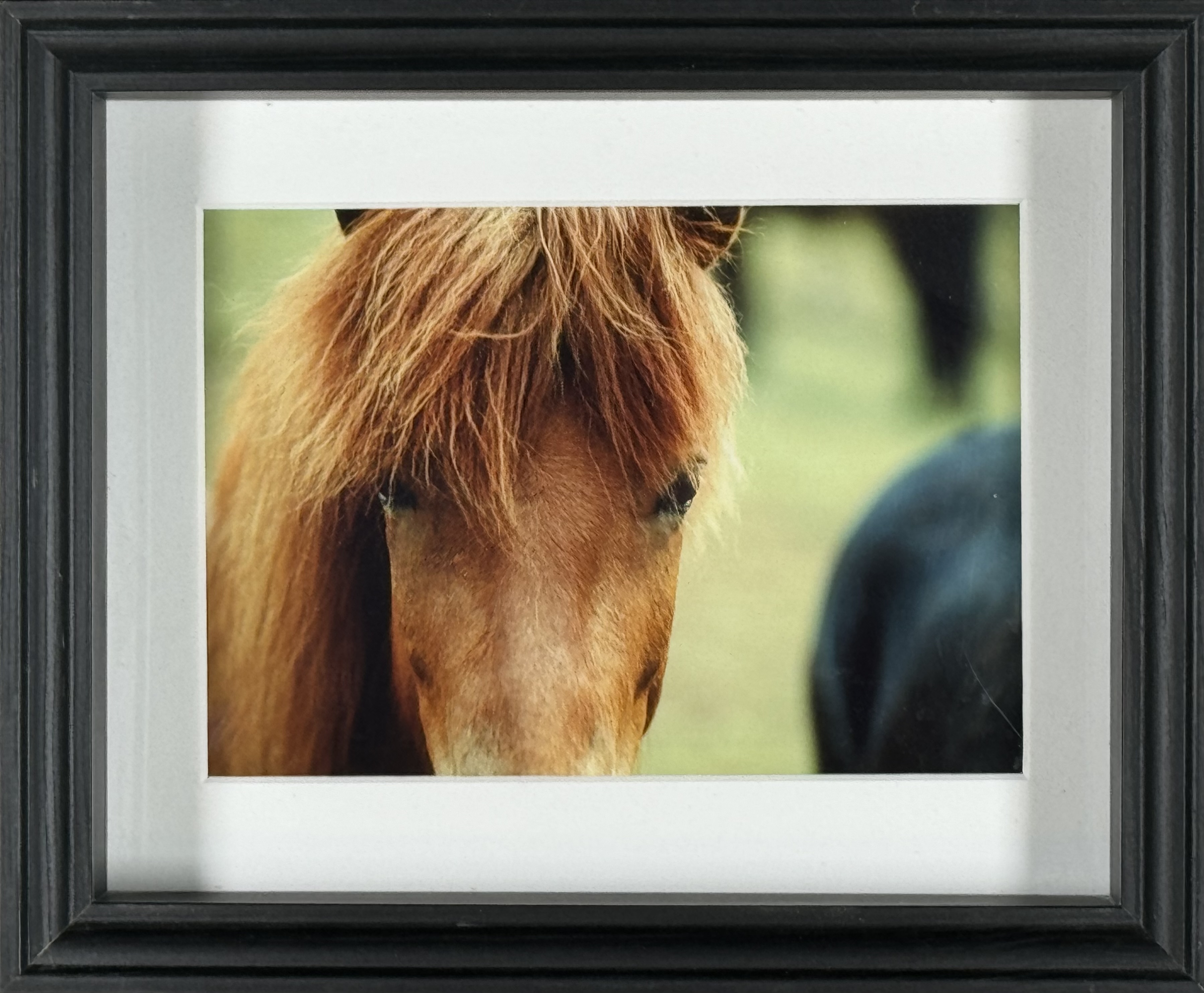 Ókunnur Höfundur - Án titils