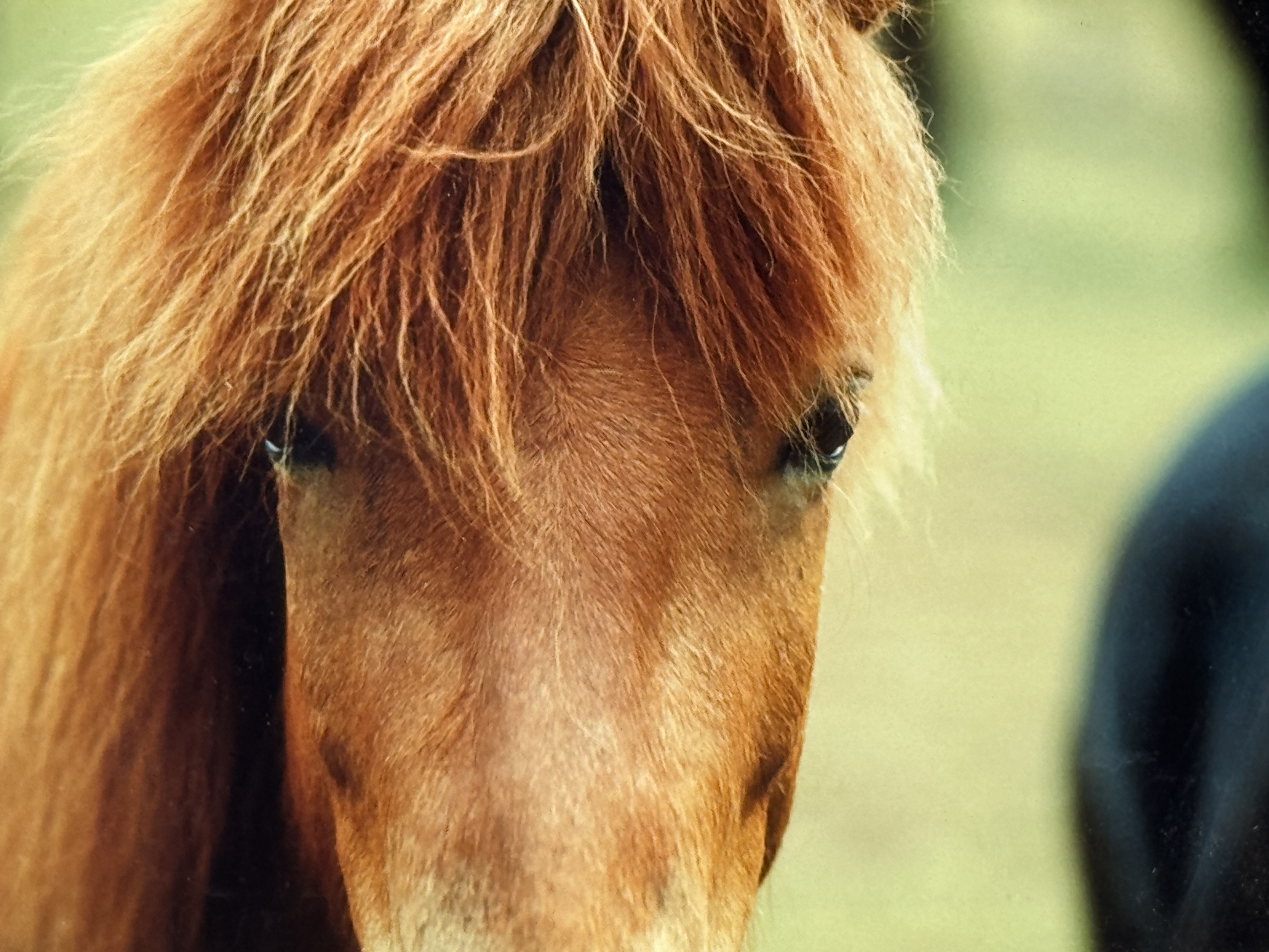 Ókunnur Höfundur - Án titils