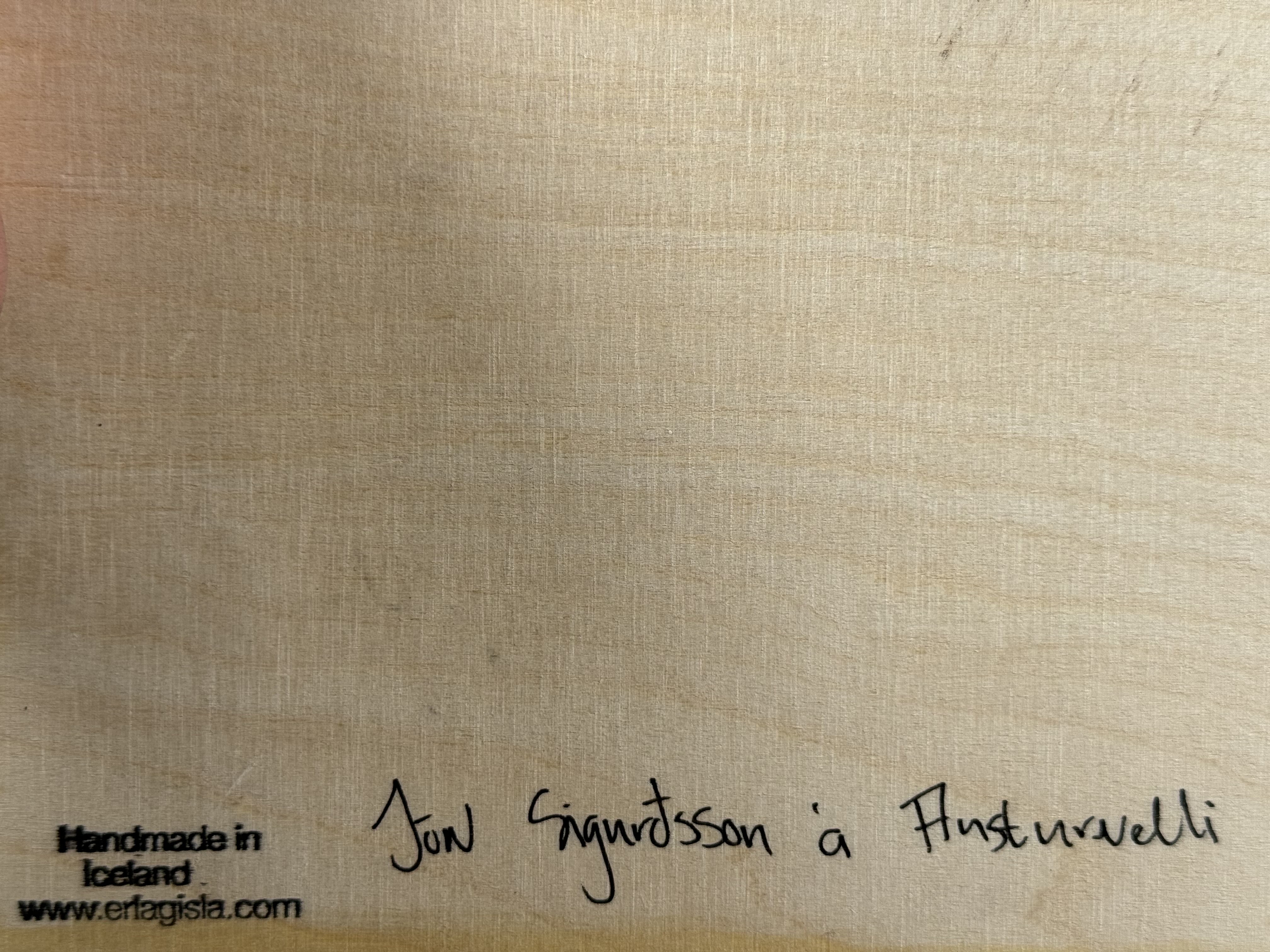 Erla Gísla - Jón Sigurðsson á Austurvelli