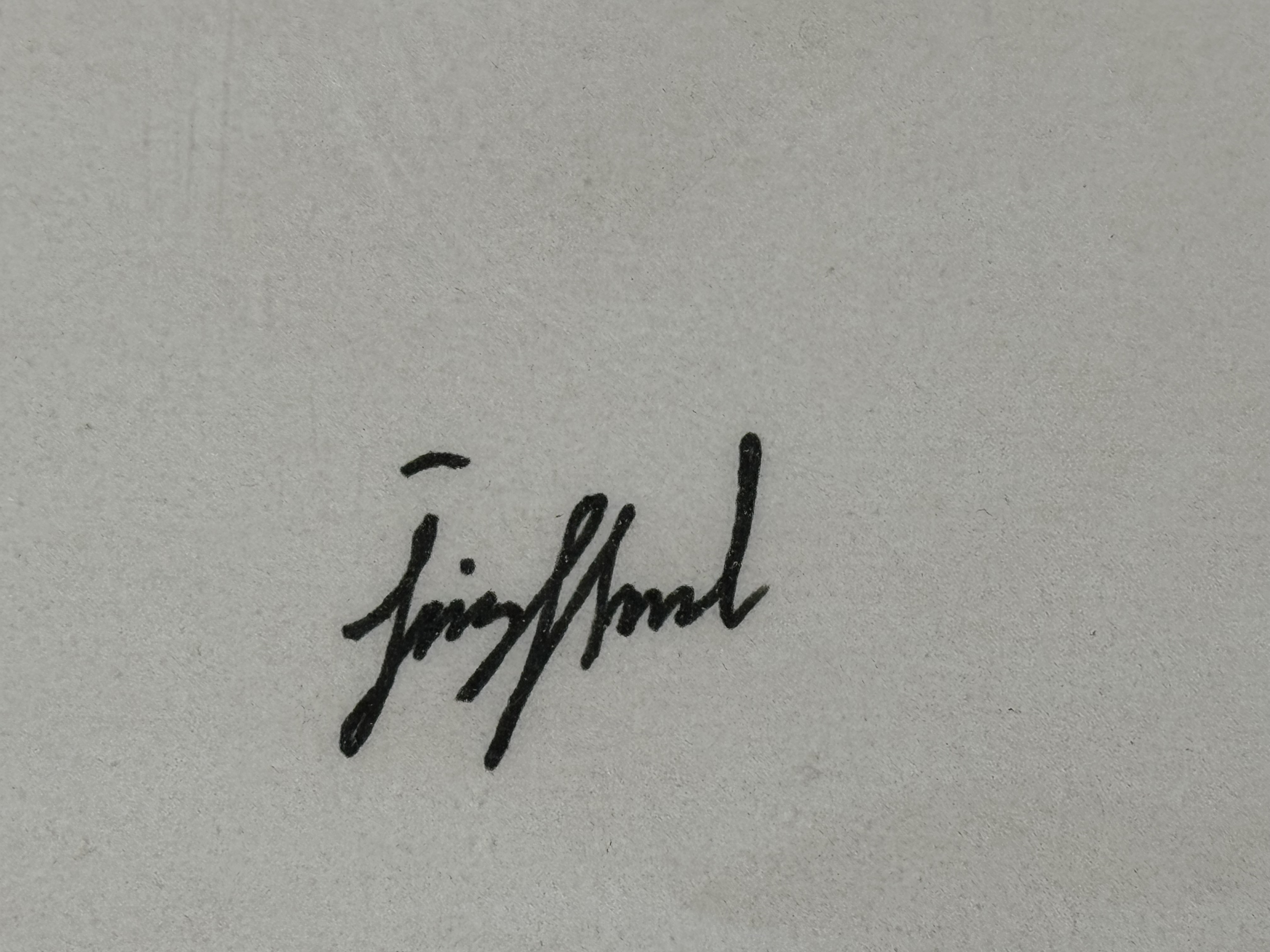 Íris Hrund Ernudóttir - Án titils