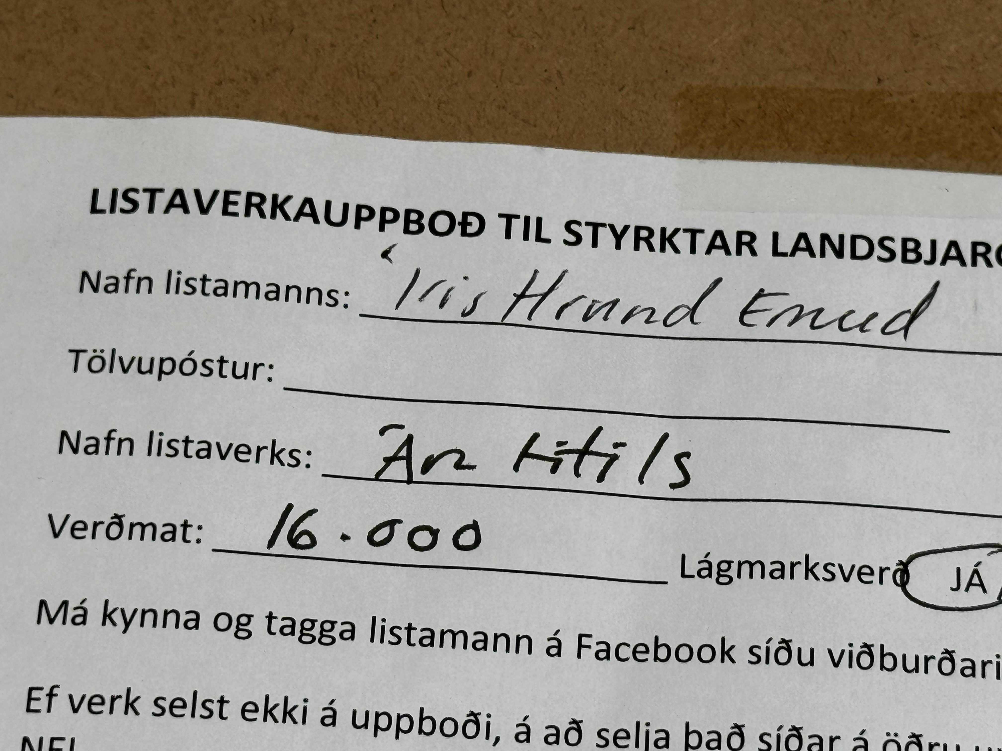 Íris Hrund Ernudóttir - Án titils