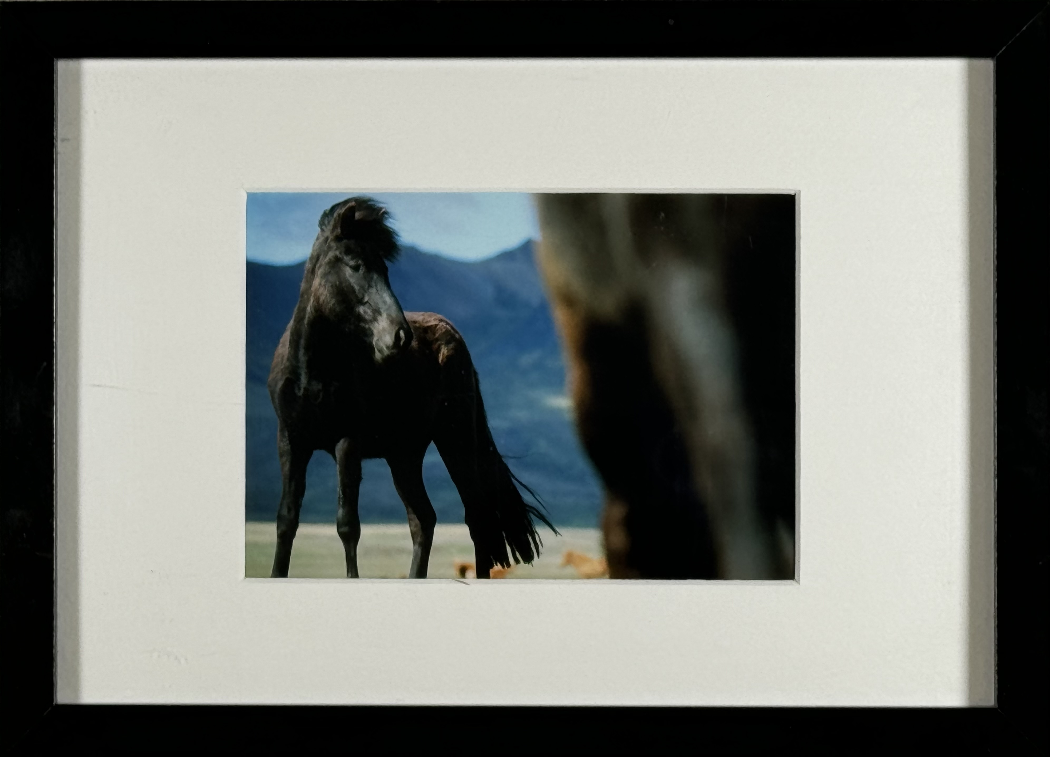 Ókunnur Höfundur - Án titils