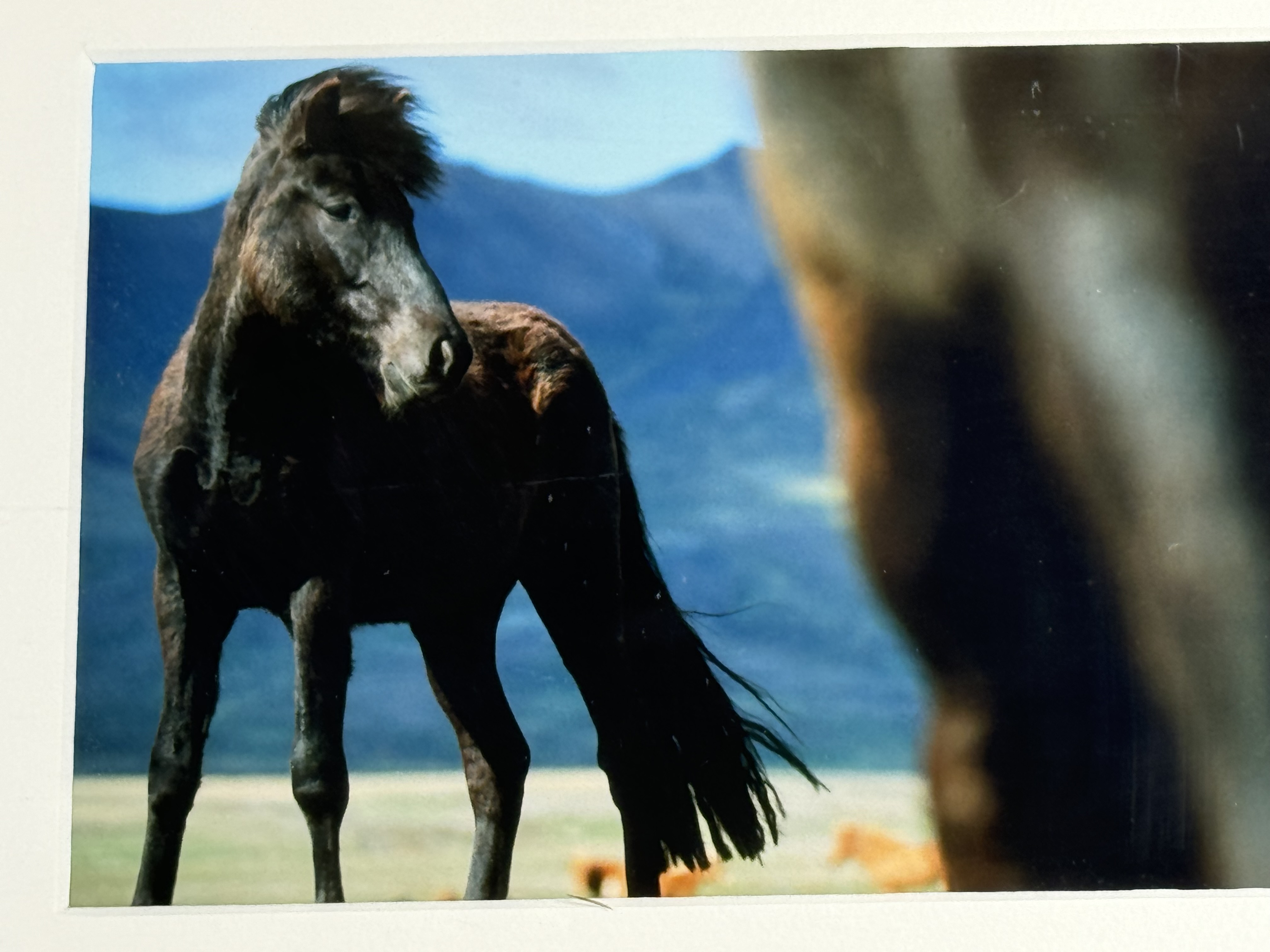 Ókunnur Höfundur - Án titils