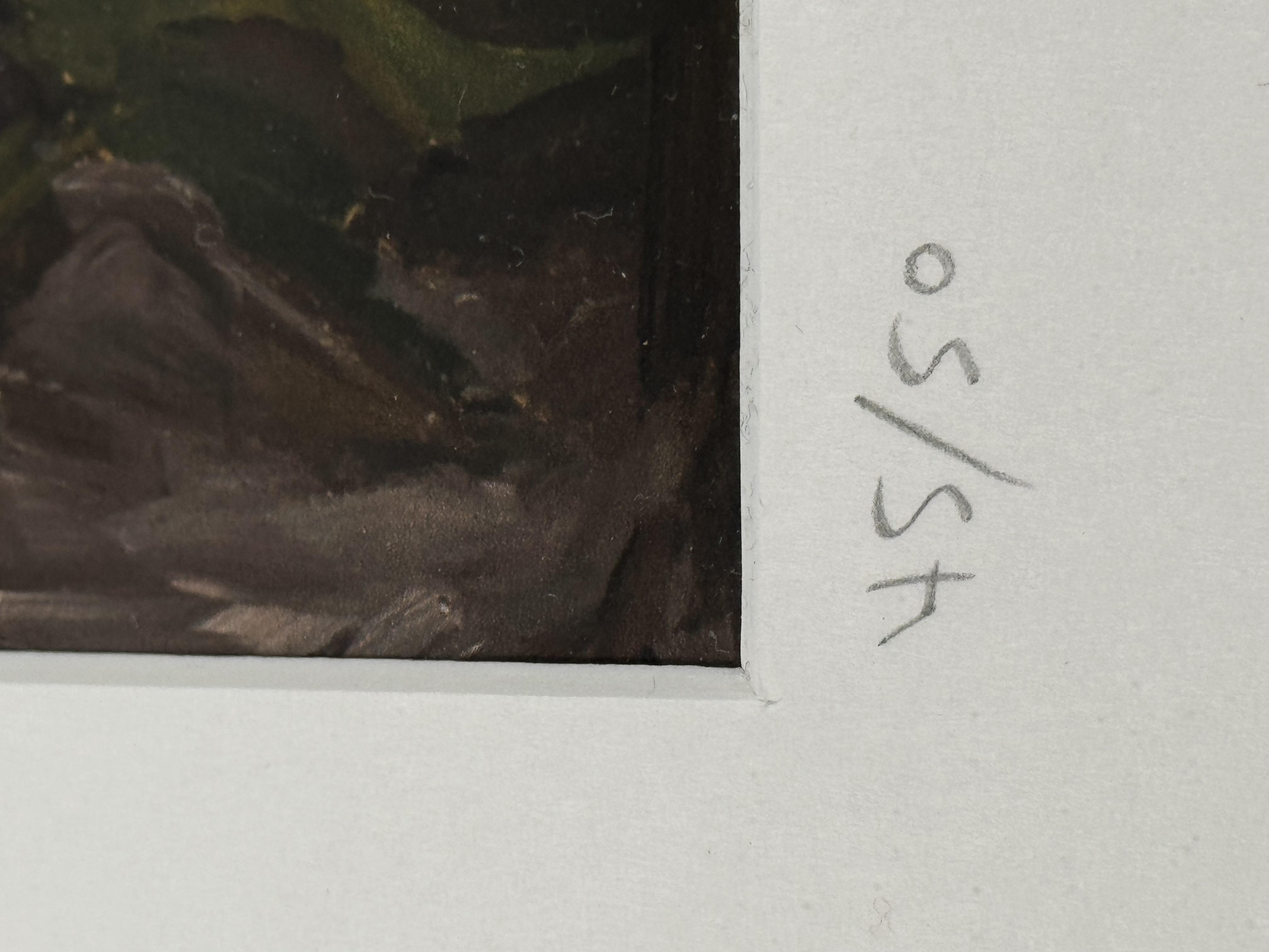 Sigrún Rós - Excotic Seamen