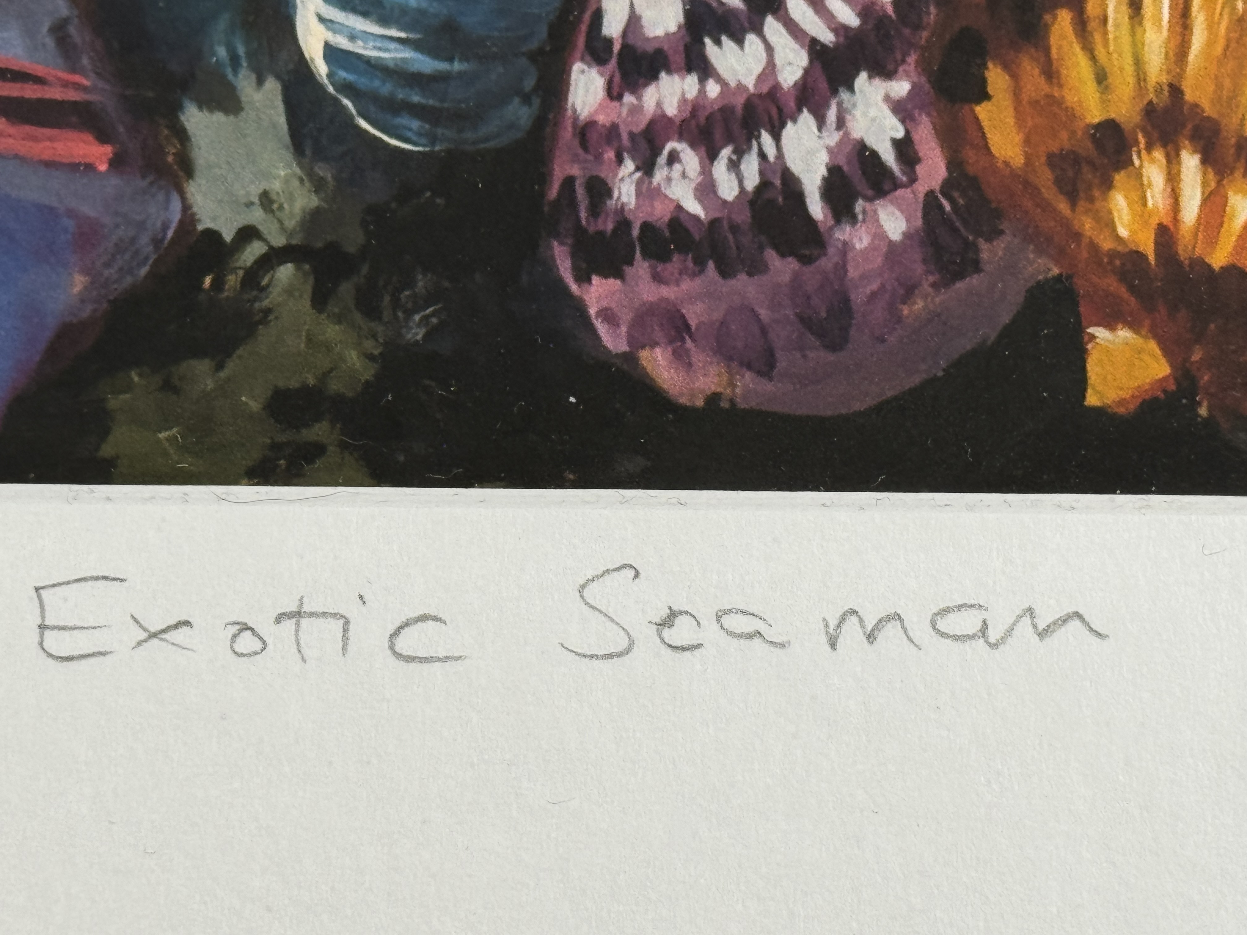 Sigrún Rós - Excotic Seamen