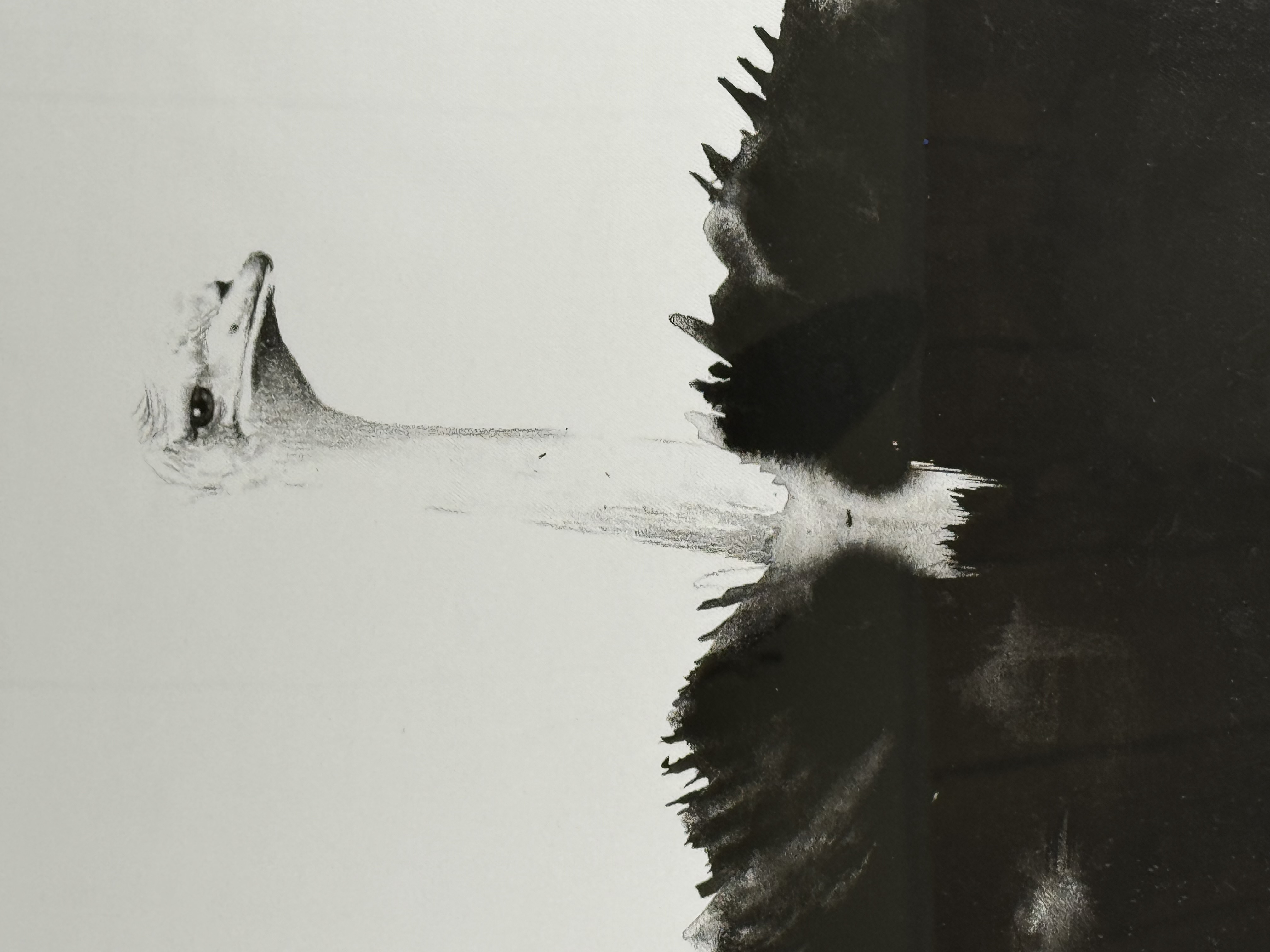 Strútur - Veggspjald