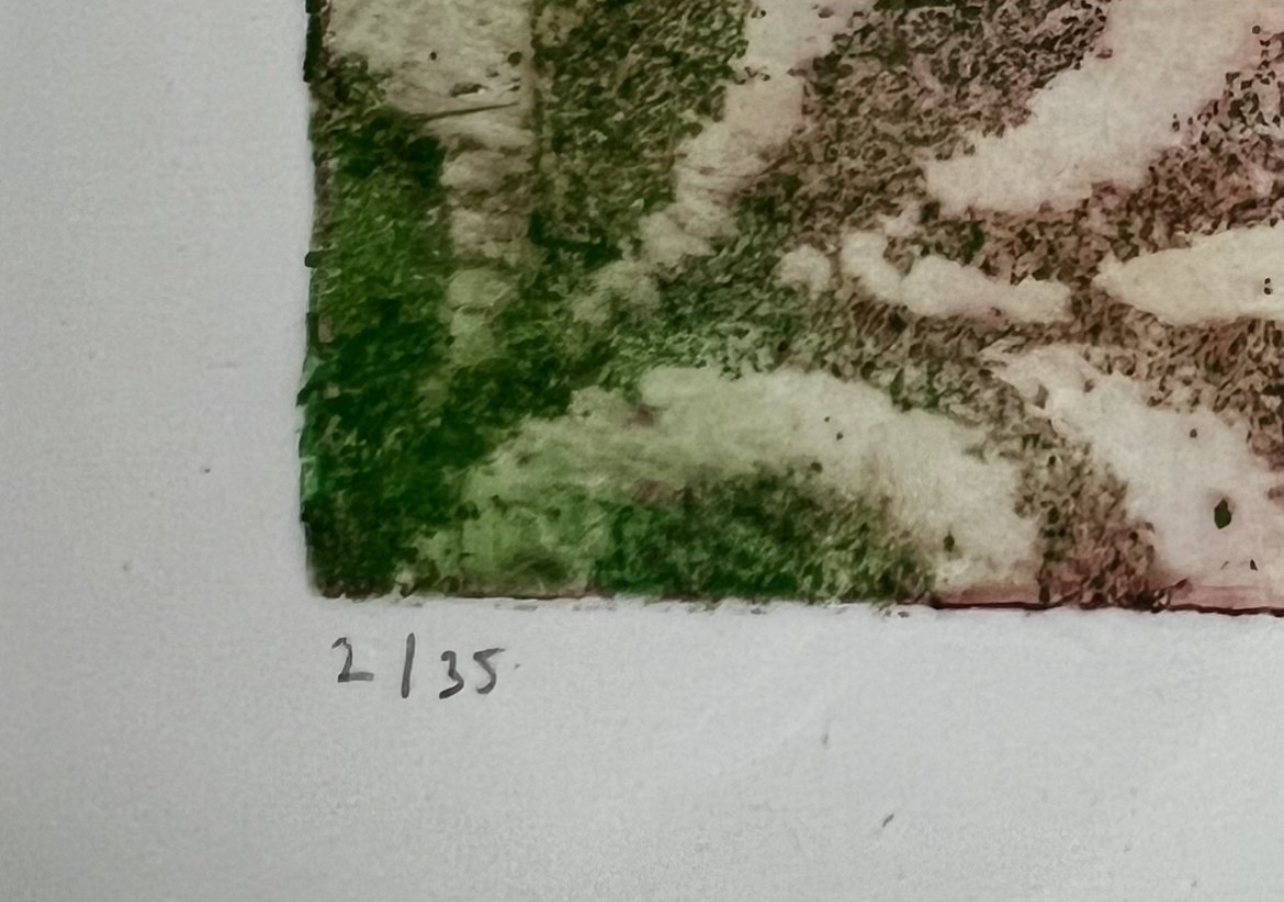 Daði Guðbjörnsson (f. 1954) - Saman með blómið