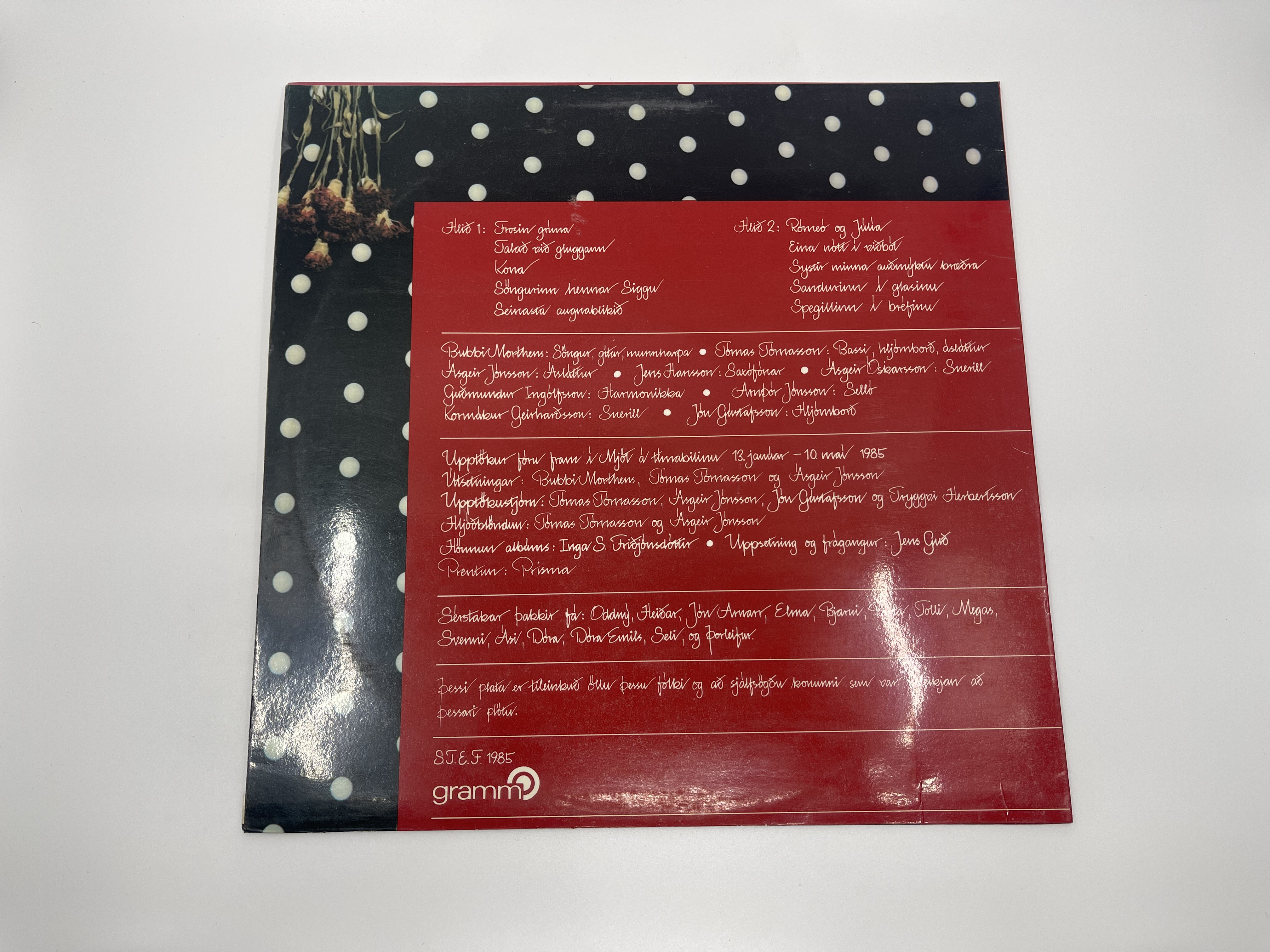 Bubbi Morthens - Kona