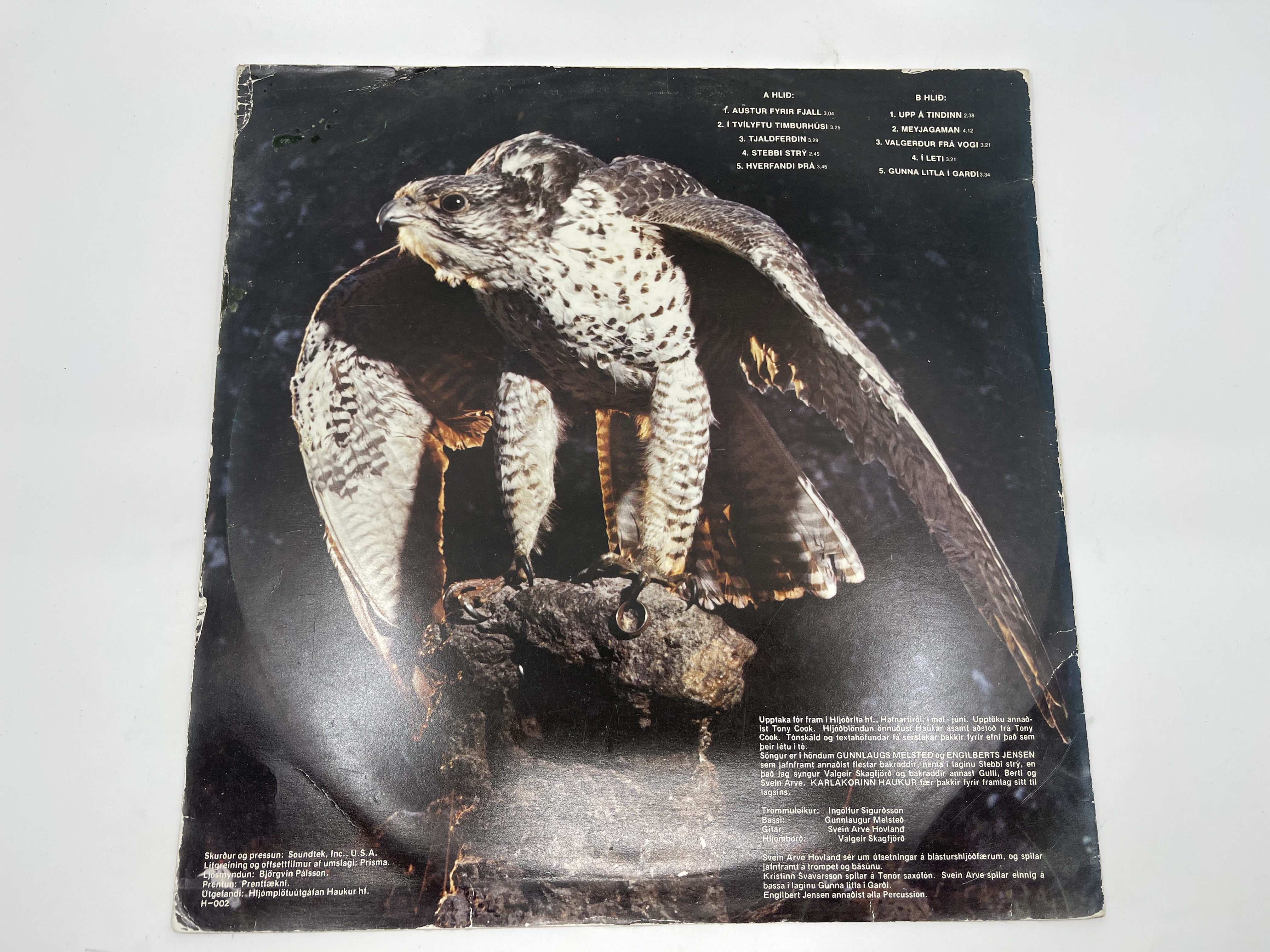 Haukar - ...svo á réttunni