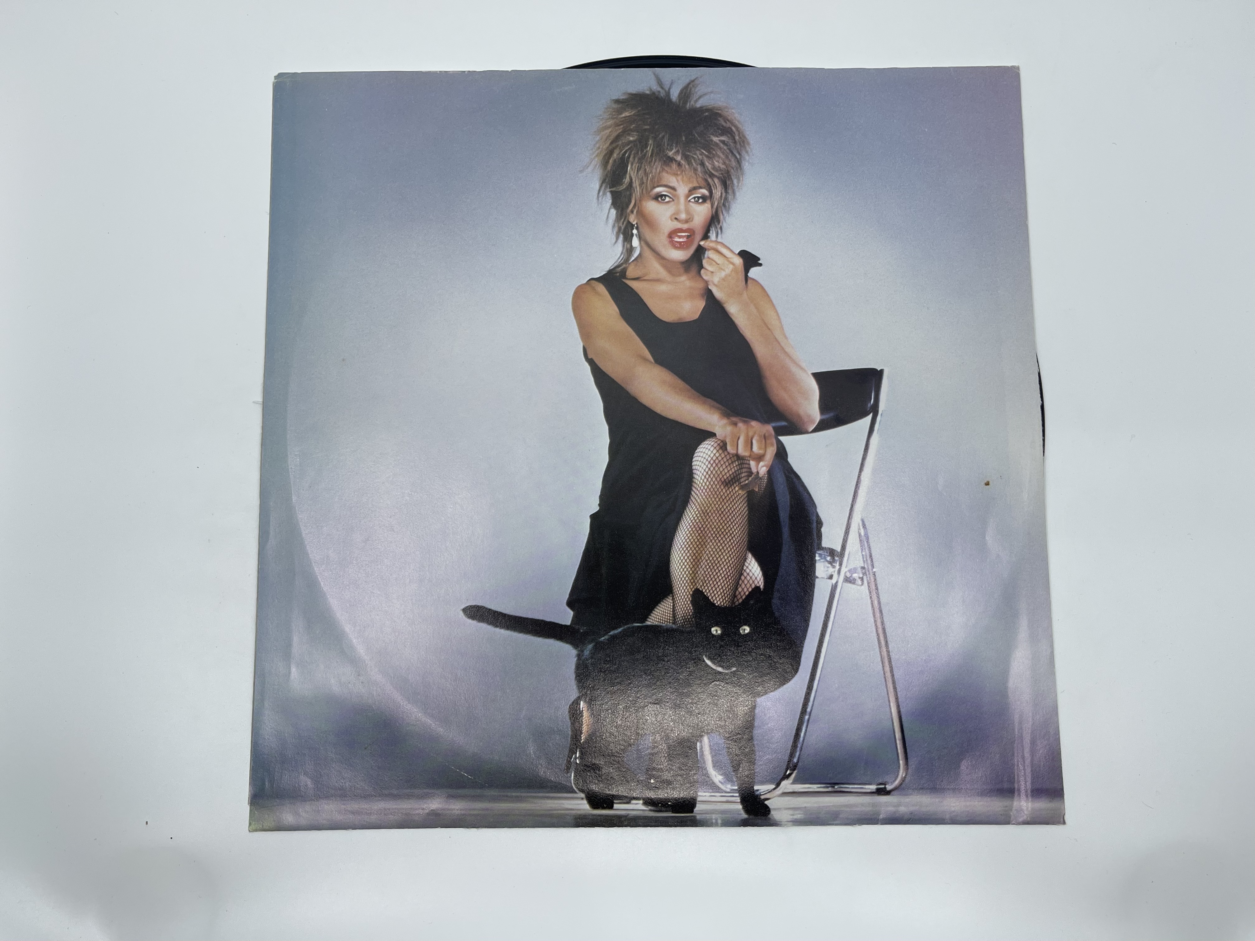 Tina Turner - Private Dancer