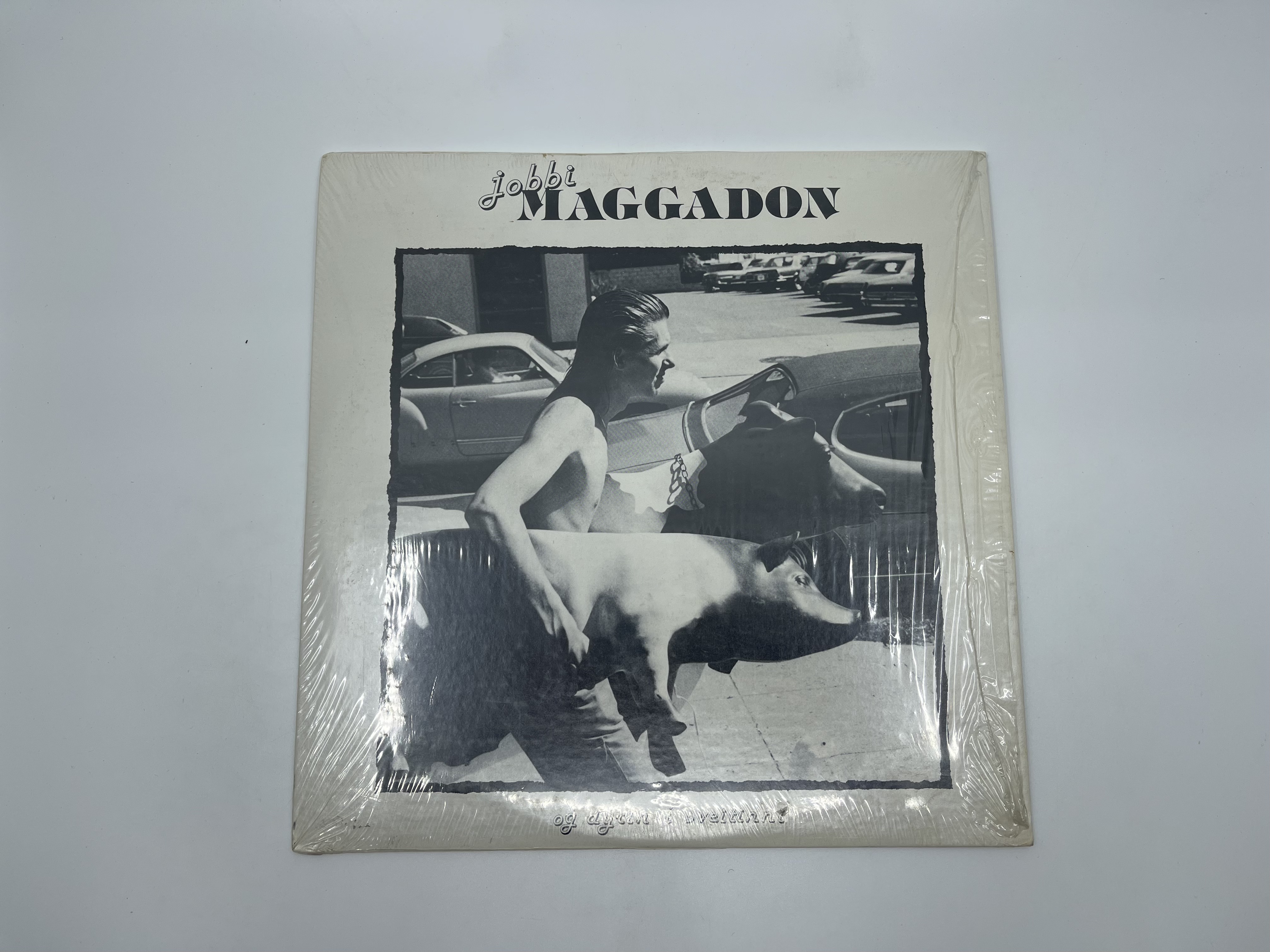 Jakob Magnússon - Jobbi Maggadon og dýrin í sveitinni