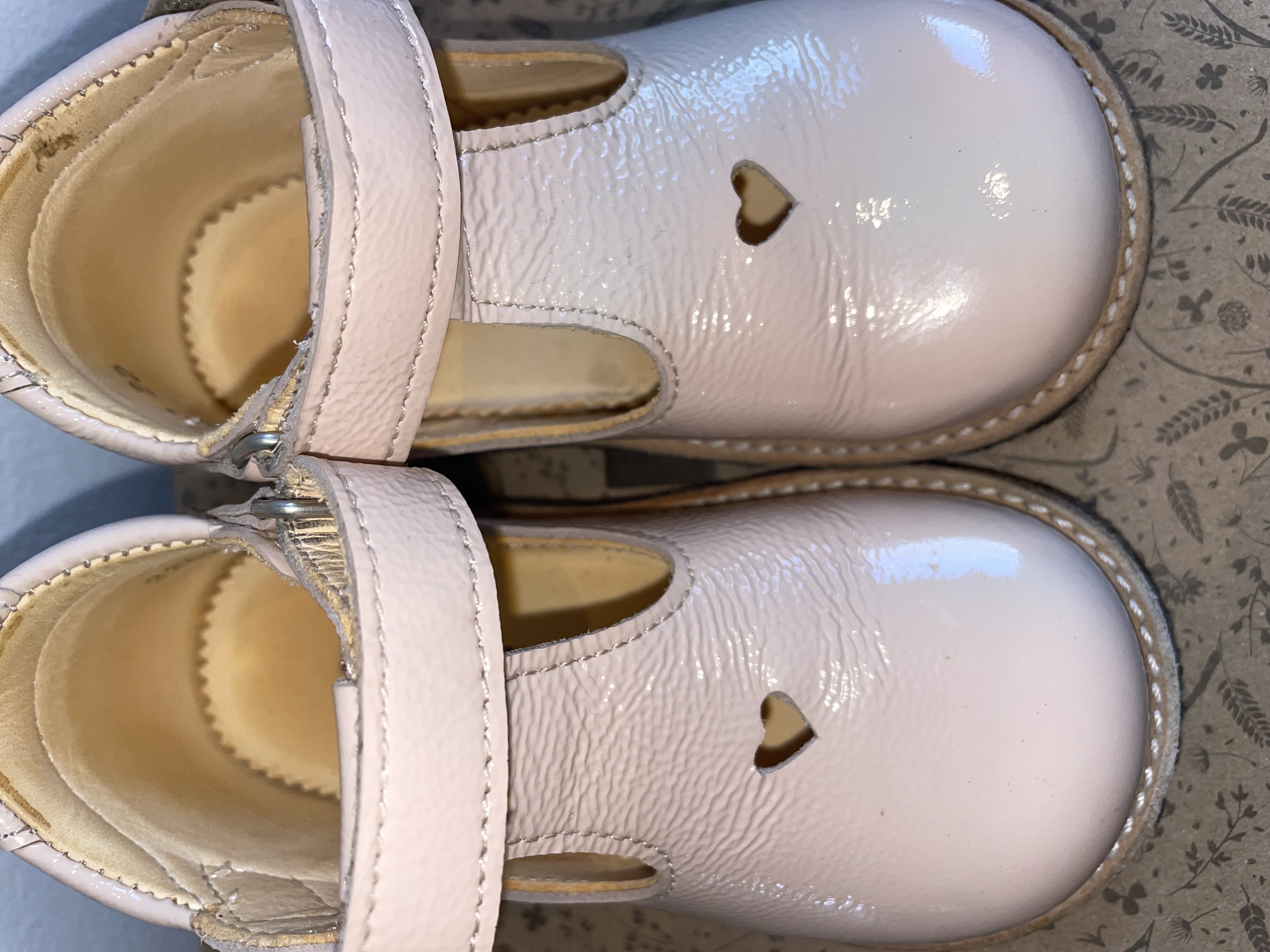 Angulus spariskór (22)