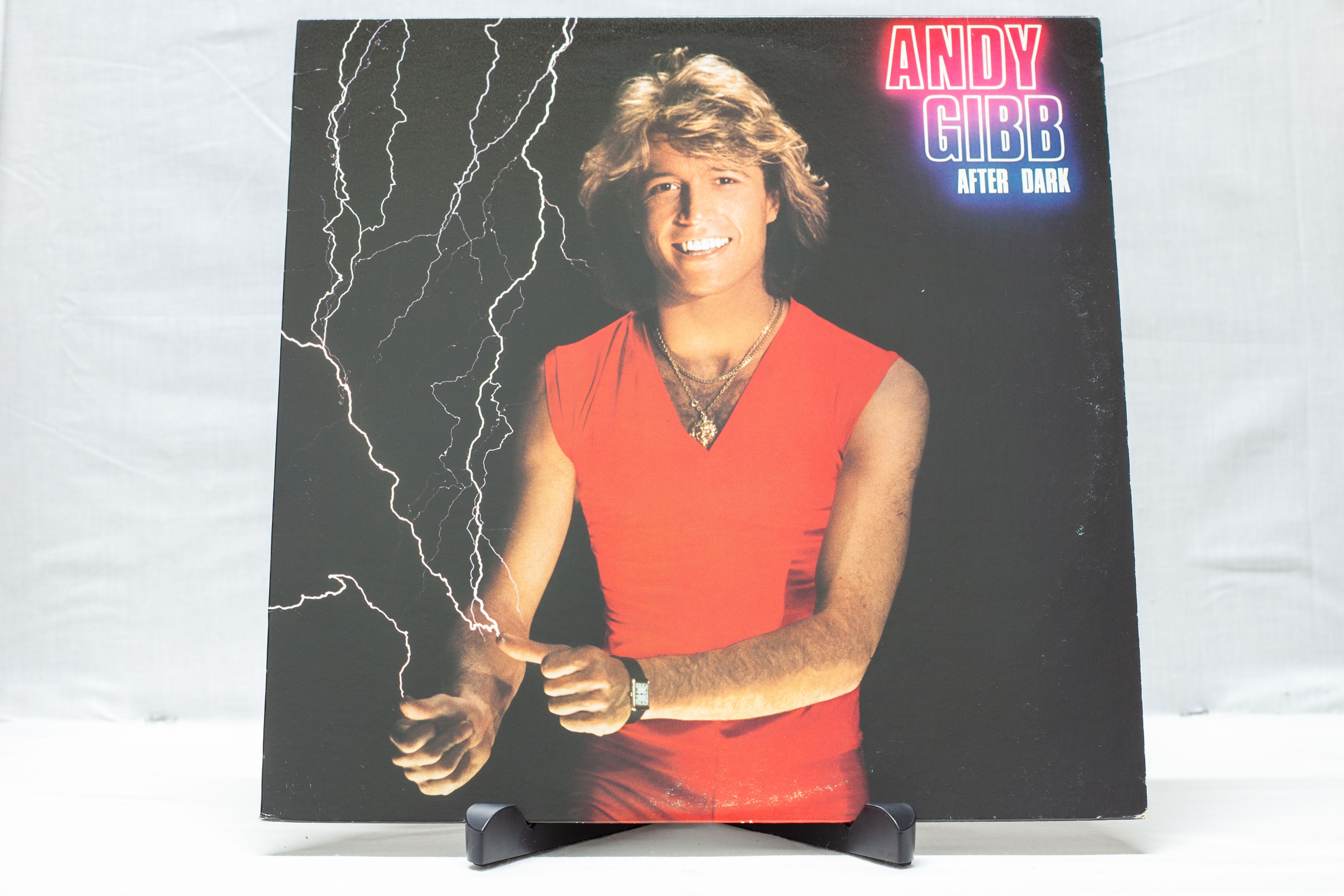 Andy Gibb