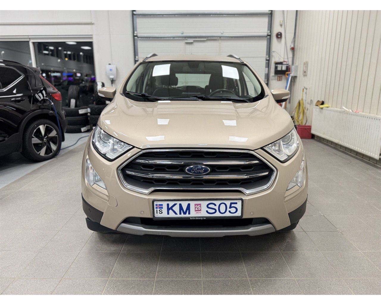 Ford Ecosport Titanium - 4/2019 - 109þ. km