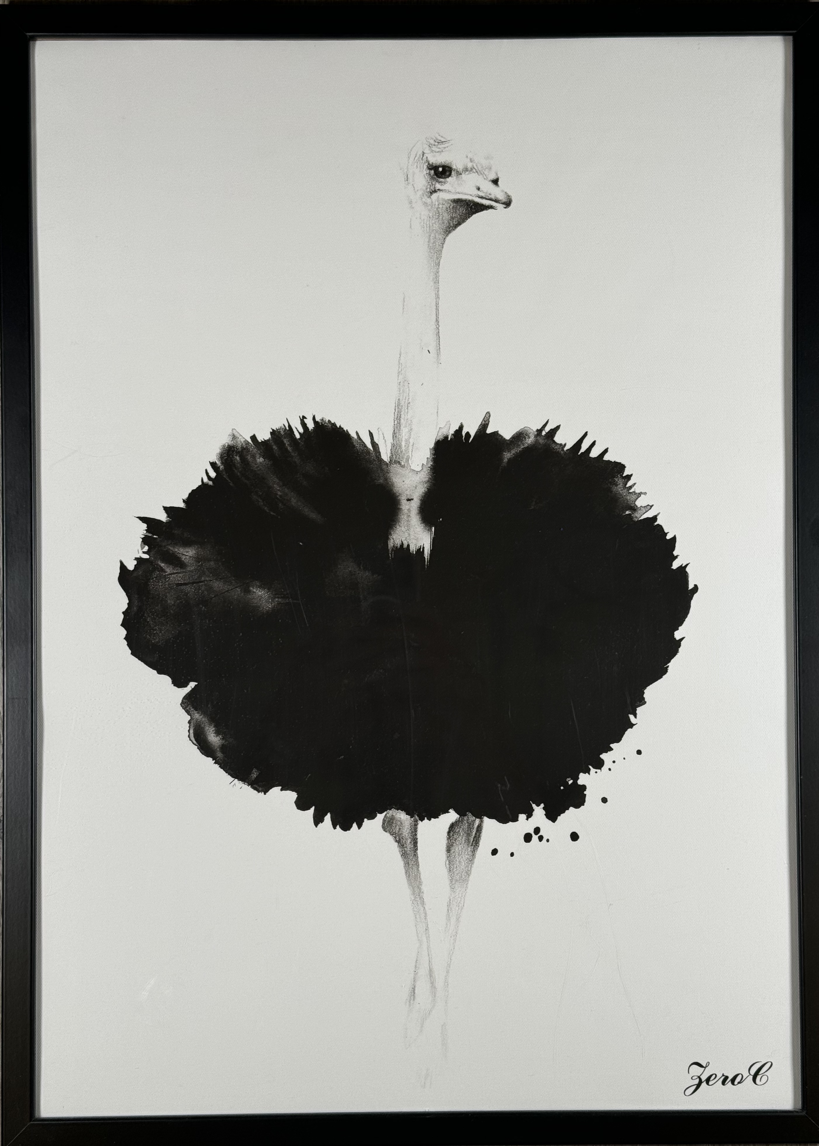 Strútur - Veggspjald